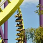 Six Flags Discovery Kingdom - Medusa - 035